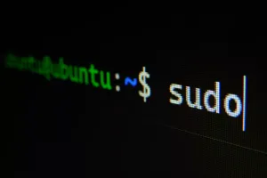 Exploiting GTFOBins: The use of Sudo